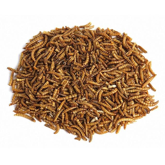 RSPB Mealworms   200g GOODS M&S   