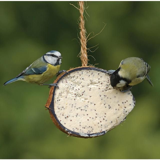 RSPB Coconut Treats GOODS M&S   