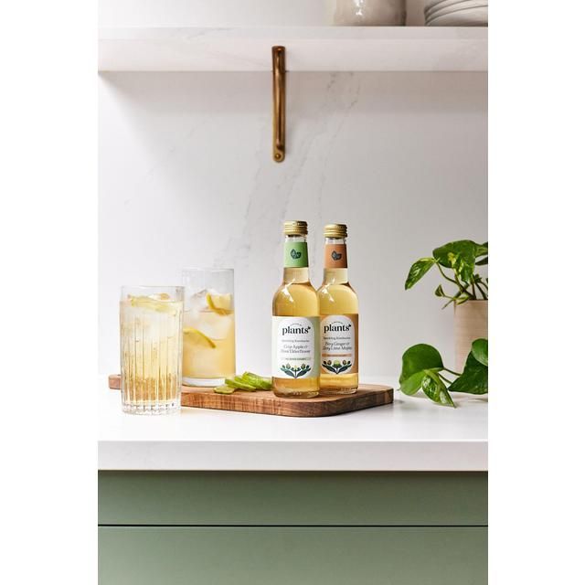 Plants by Deliciously Ella Apple and Elderflower Kombucha   250ml GOODS M&S   