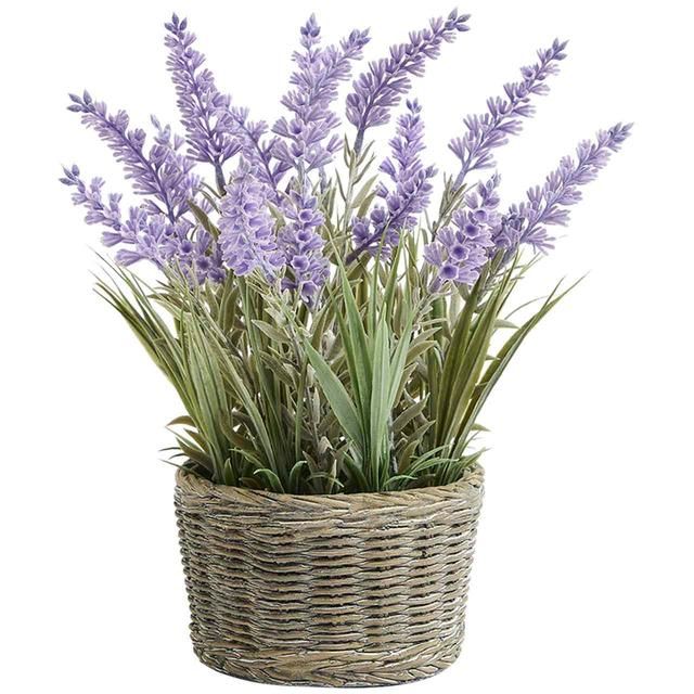 M&S Lavender In Resin Wicker Pot Purple