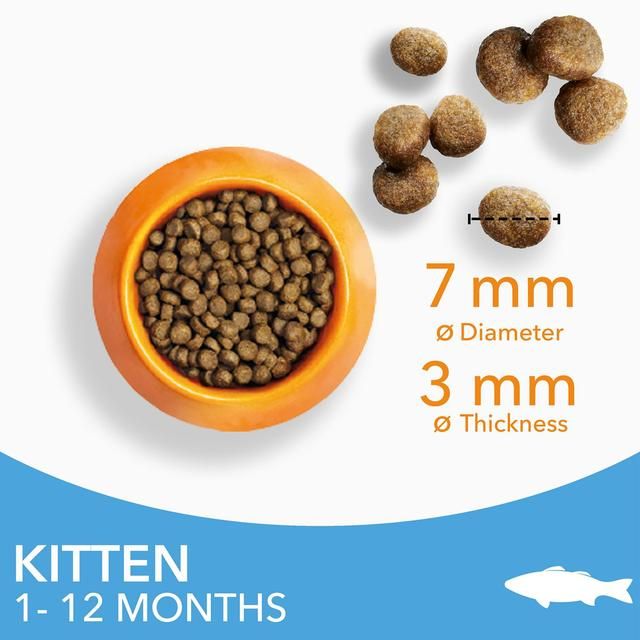 IAMS 1-12 Months Kitten Dry Cat Food Ocean Fish   3kg