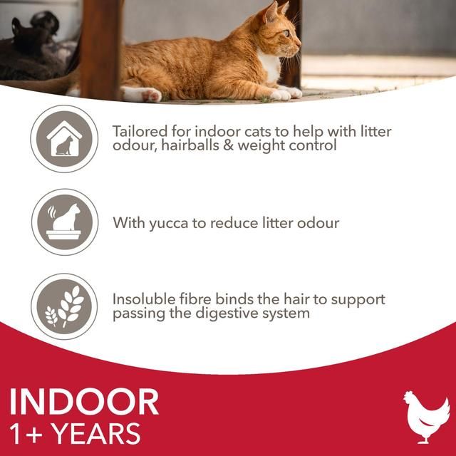 IAMS 1+ Years Indoor Dry Cat Food Chicken   3kg