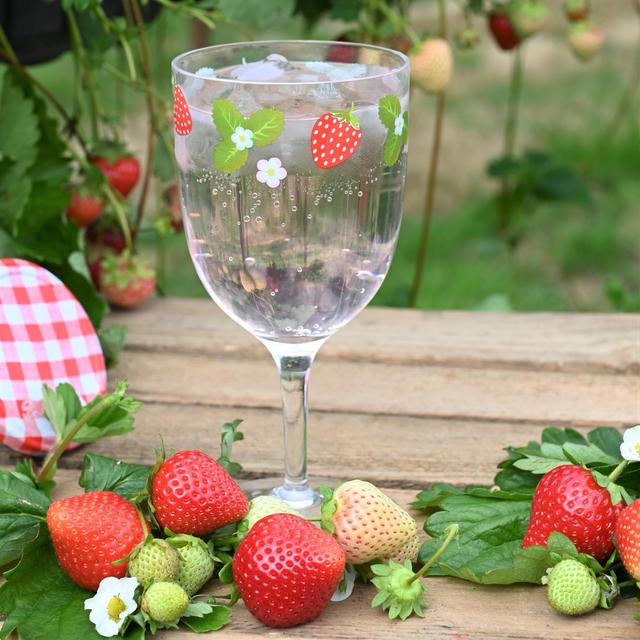 Summerhouse Strawberries & Cream Plastic Wine Glass GOODS M&S   