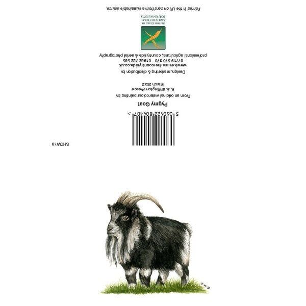 Kevin Milner Countryside Pygmy Goat Card