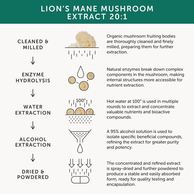 Together Health Organic Lion's Mane Mushroom   60 per pack GOODS M&S   