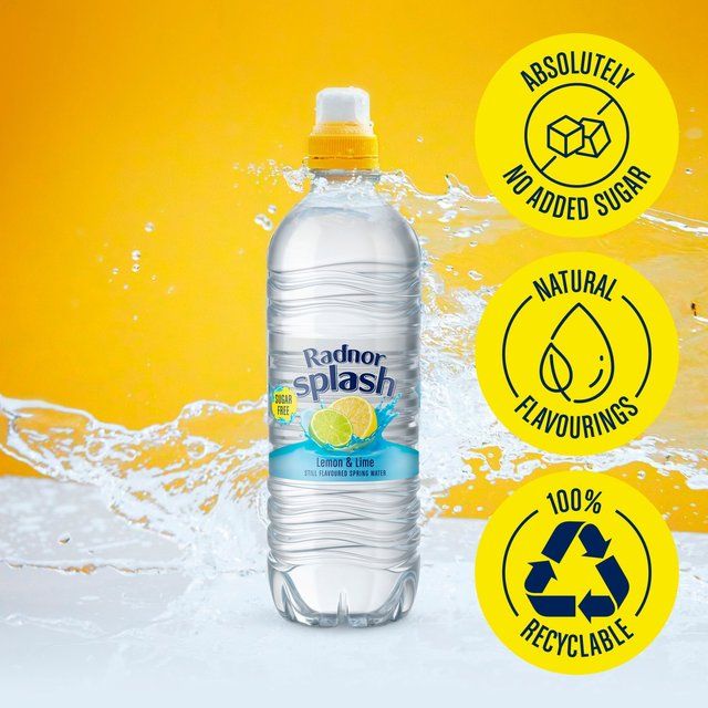 Radnor Splash Lemon & Lime Flavoured Water   6 x 500ml