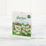 Sainsburys Garden Acidanthera x30