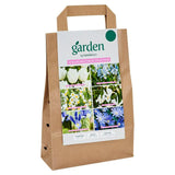 Sainsburys Garden Bulbs Delft Blue Collection x50