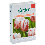 Sainsburys Tulips Happy Generation x10