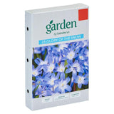 Sainsburys Garden Glory of The Snow x25