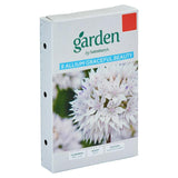 Sainsburys Garden Allium Graceful Beauty x8