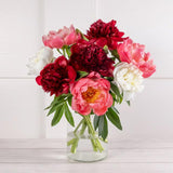 Mixed Peony Abundance