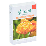 Sainsburys Tulips Sun Lover x10