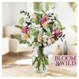 Bloom  Wild The Daydreamer Blooms