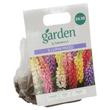 Sainsburys Lupin Mixed x5
