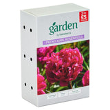 Sainsburys Peony Karl Rosenfield