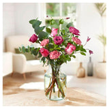 Bloom  Wild The Valentines Blooms