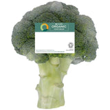 Ocado Organic Broccoli   300g GOODS M&S   