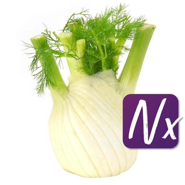 Natoora Italian Large Fennel GOODS M&S   