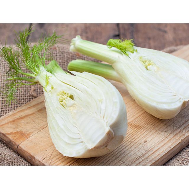 Natoora Italian Large Fennel