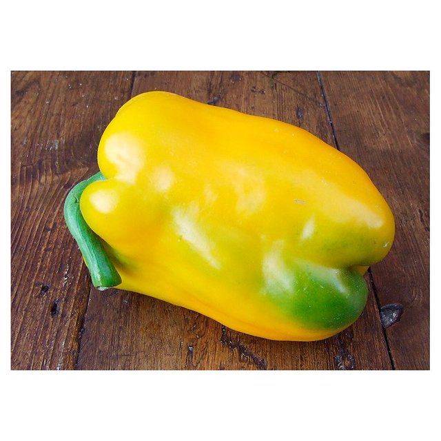 Natoora Italian Large Yellow and Green Pepper