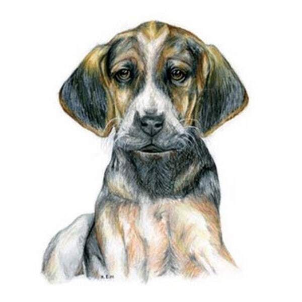 Kevin Milner Hound Puppy Art Countryside Card