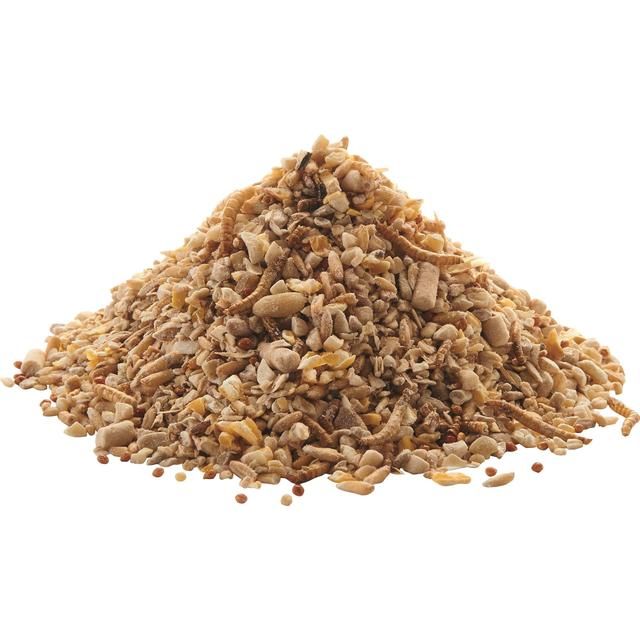 Peckish Robin Bird Seed and Insect Mix   1kg