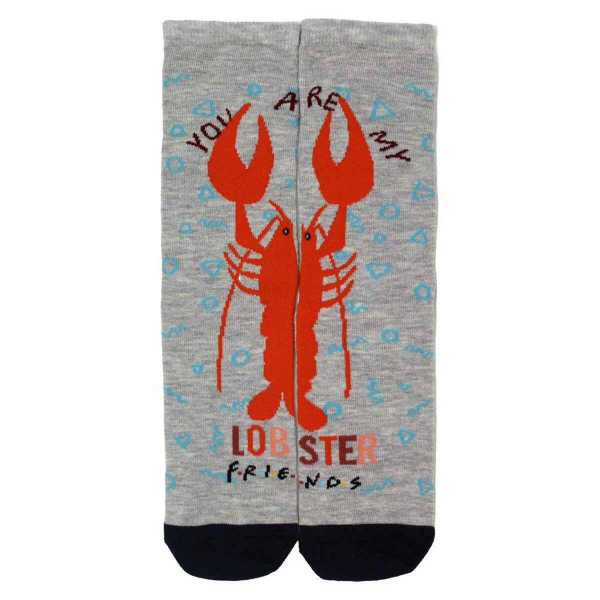 Warner Bros Friends 1pk Ladies Ankle Sock GOODS Boots   