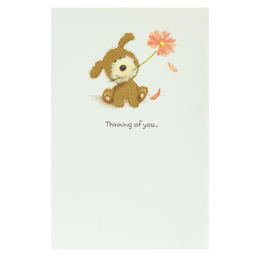 Lots of Woof Thinking of You Card