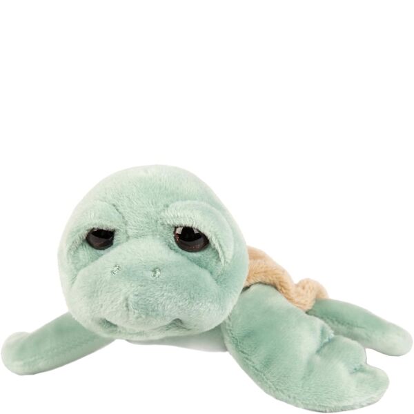 Suki Small Caspian Turtle Plush Toy, 14cm