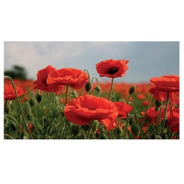 Kevin Milner Poppy Flower Countryside Card