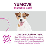 YuMOVE Dog Digestive Health Probiotics Supplement   300 per pack GOODS M&S   