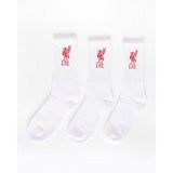 Liverpool FC Adult Sports Socks (Pack of 3) (8-11) GOODS Superdrug   