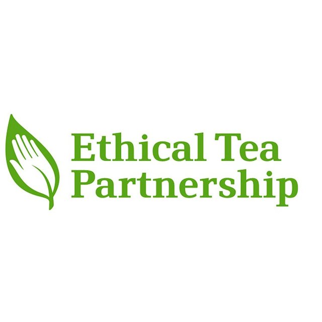The East India Company Directors Green Tea Blend Sachets   20 per pack GOODS M&S   