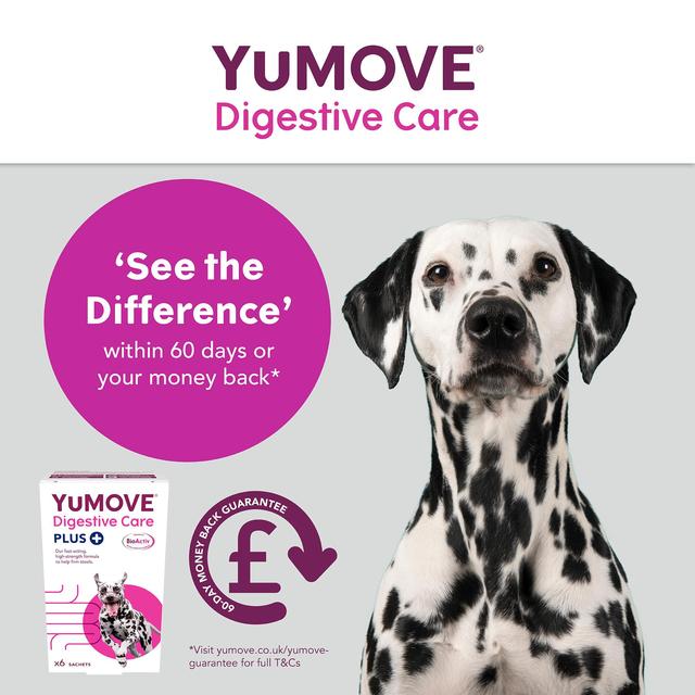 YuMOVE PLUS Dog Digestive Health  Supplement   6 per pack GOODS M&S   