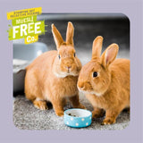 Burgess Excel Indoor Rabbit Nuggets   1.5kg - McGrocer