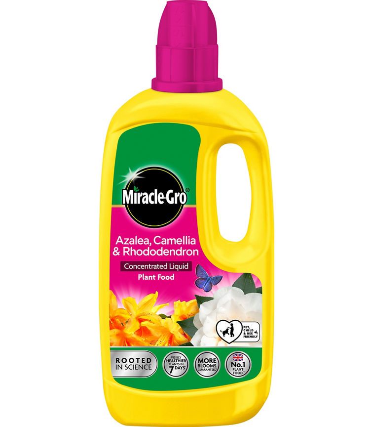 Miracle Gro Azalea, Camellia & Rhododendron Concentrate plant food GOODS ASDA   