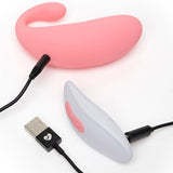 Lovehoney Daydream Rechargeable Clitoral And G-Spot Vibrator GOODS Superdrug   