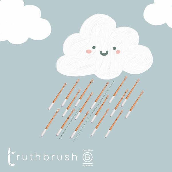 Truthbrush Children's Bamboo Toothbrush & Travel Case Set