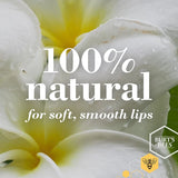 Burt's Bees 100% Natural Lip Balm Pomegranate 4.25g - 999229