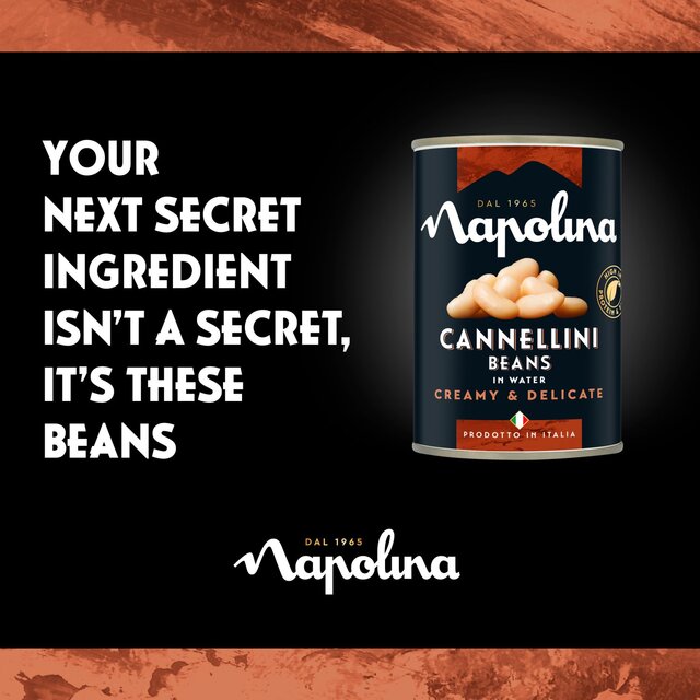 Napolina Cannellini Beans   400g