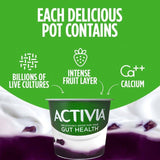 Activia Blueberry Acai Fusions Yoghurt    4 x 120g