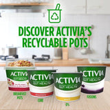 Activia Rhubarb Fruit Yoghurt   4 x 115g