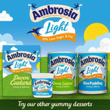 Ambrosia Light Devon Custard    1kg