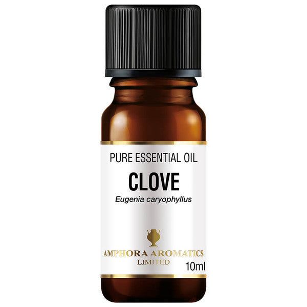 Amphora Aromatics Clove Essential Oil 10ml