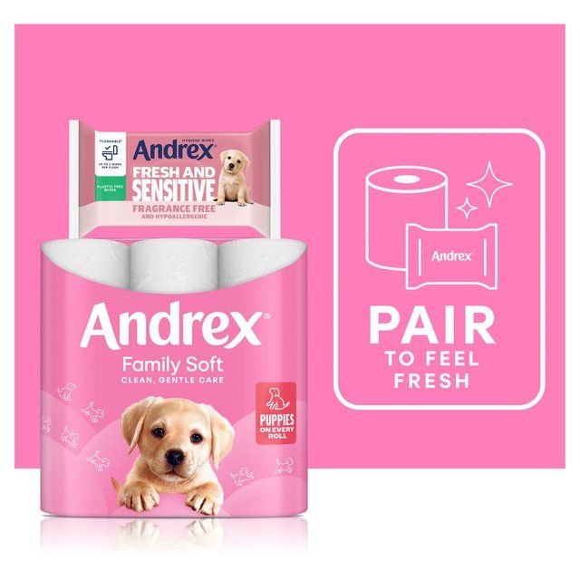 Andrex Hygiene Wipes Fresh and Sensitive Single Pack   30 per pack - McGrocer