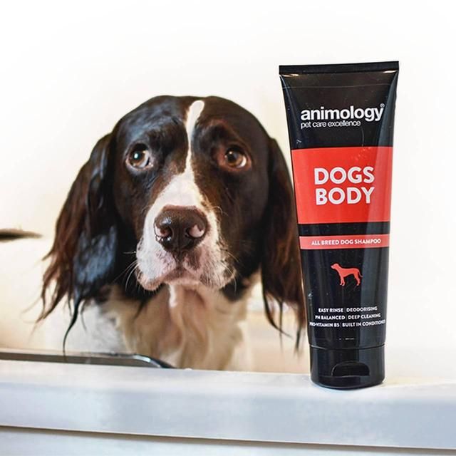Animology Dogs Body Dog Shampoo   250ml - McGrocer