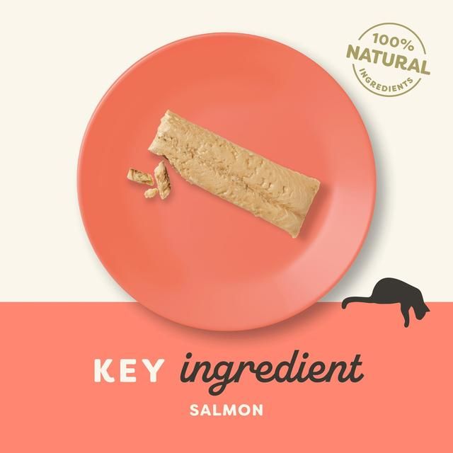 Applaws Cat Treat Whole Salmon Loin   30g - McGrocer