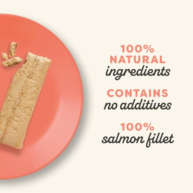 Applaws Cat Treat Whole Salmon Loin   30g - McGrocer
