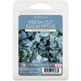 ScentSationals Fresh Cut Eucalyptus Wax Cubes GOODS ASDA   